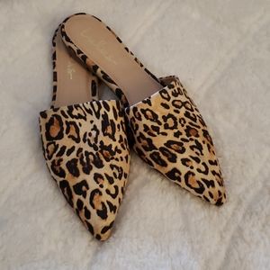 Leopard mules